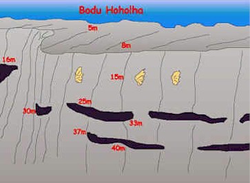 Bodu Hoholha